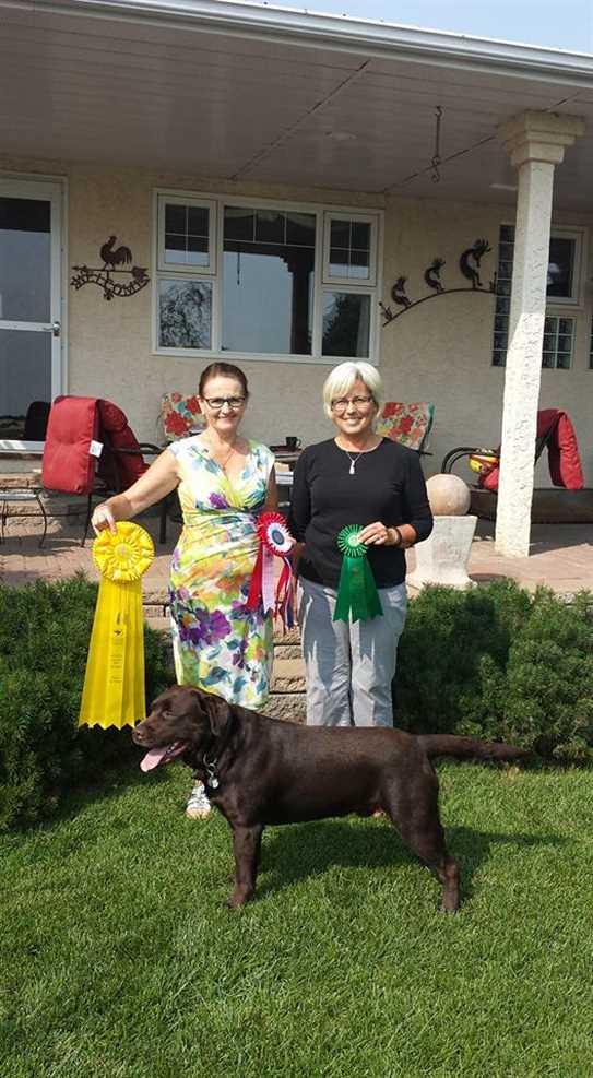 Canadian Kennel Club Club Canin Canadien