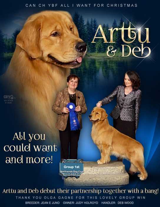 ckc golden retriever breeders