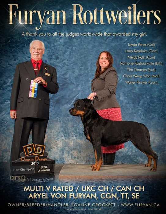 Ckc rottweiler 2025