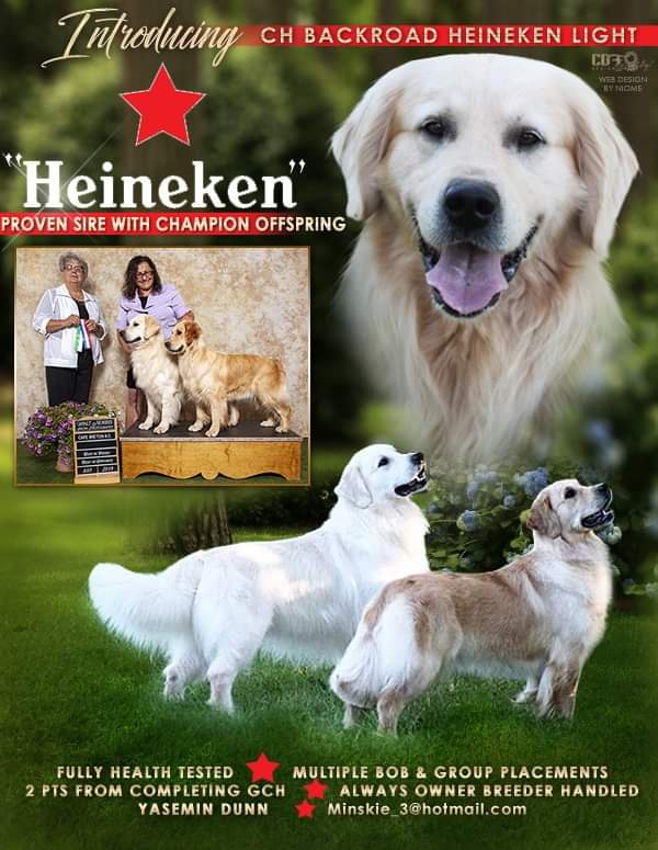 Canadian Kennel Club Club Canin Canadien