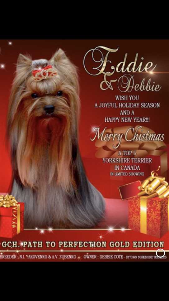 Canadian Kennel Club Club Canin Canadien