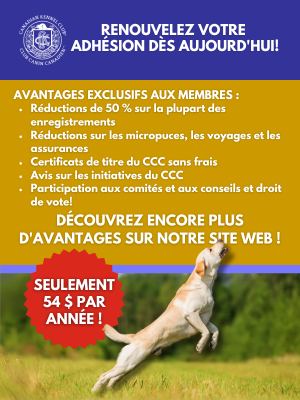 Club Guide