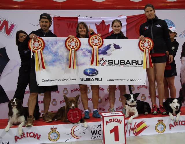 SATC-2016-Gold-Winners.jpg
