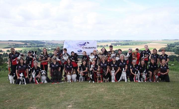 Subaru-Agility-Team-Canada-Photo-EO-2016.jpg