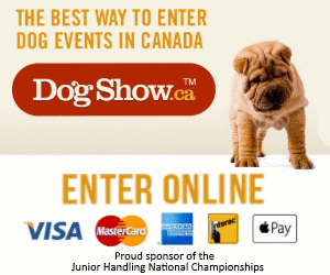 dogshow