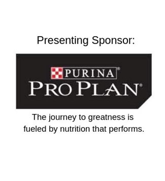 Pro-Plan-Blog-ENG.jpg