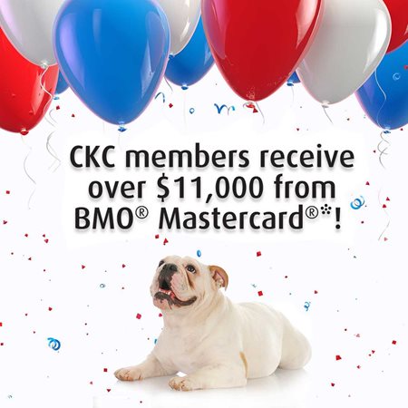 BMO-Celebration-ENG-R.jpg BMO-Celebration-ENG-R.jpg