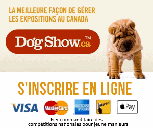 Dogshow002
