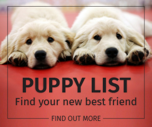 Puppy List