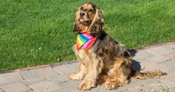 Pride001-1.jpg