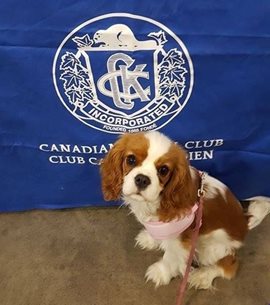 PetExpo002-1.JPG
