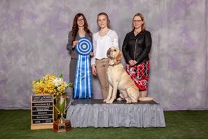 Zone1B-Obedience-BenteVanBielsen-1.jpg