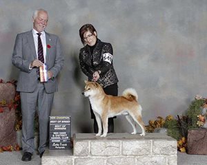 Sherri-s-Pic-3-Korbin-R.jpg