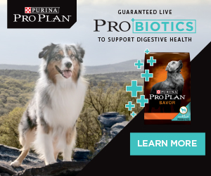 Purina