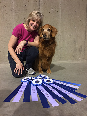 1-Chevy-Golden-Retriever-interview.jpg 1-Chevy-Golden-Retriever-interview.jpg