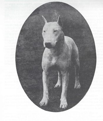 1918-BIS-1.jpg