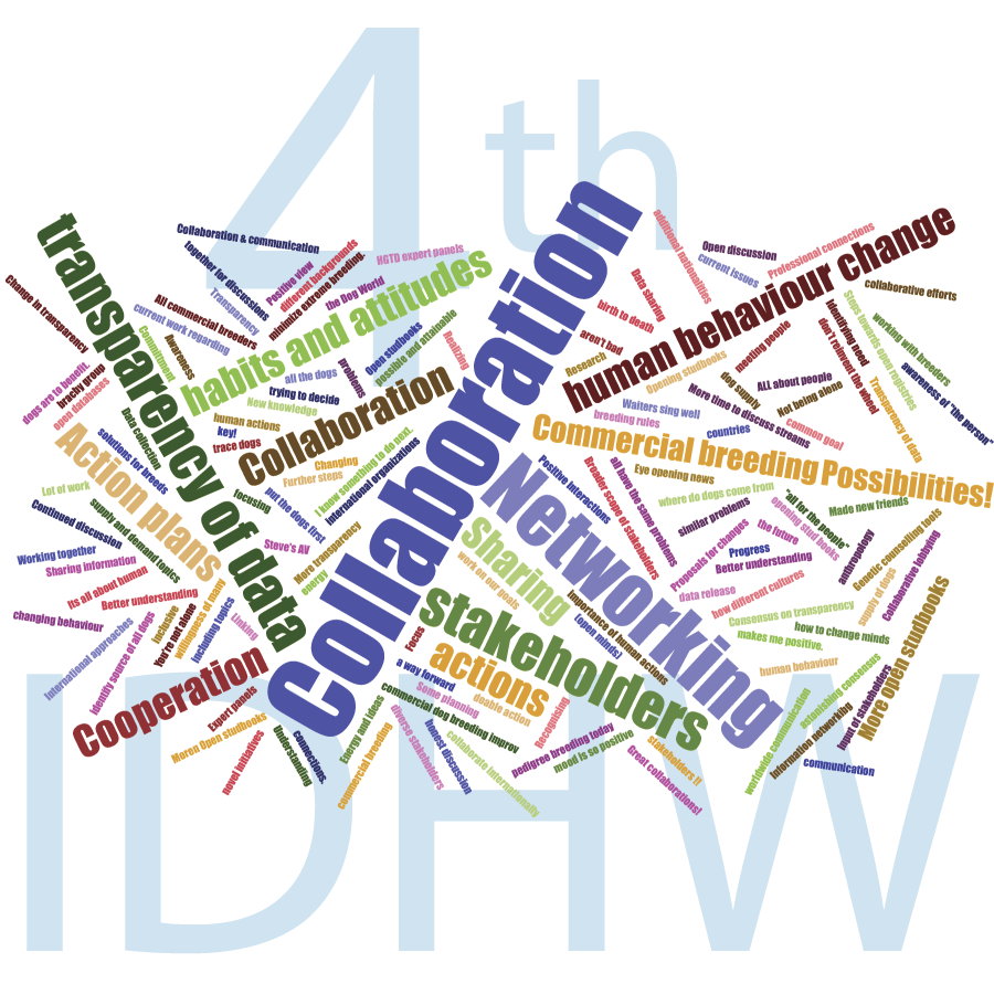 wordcloud6-5-4thidhw-key-experiences.png