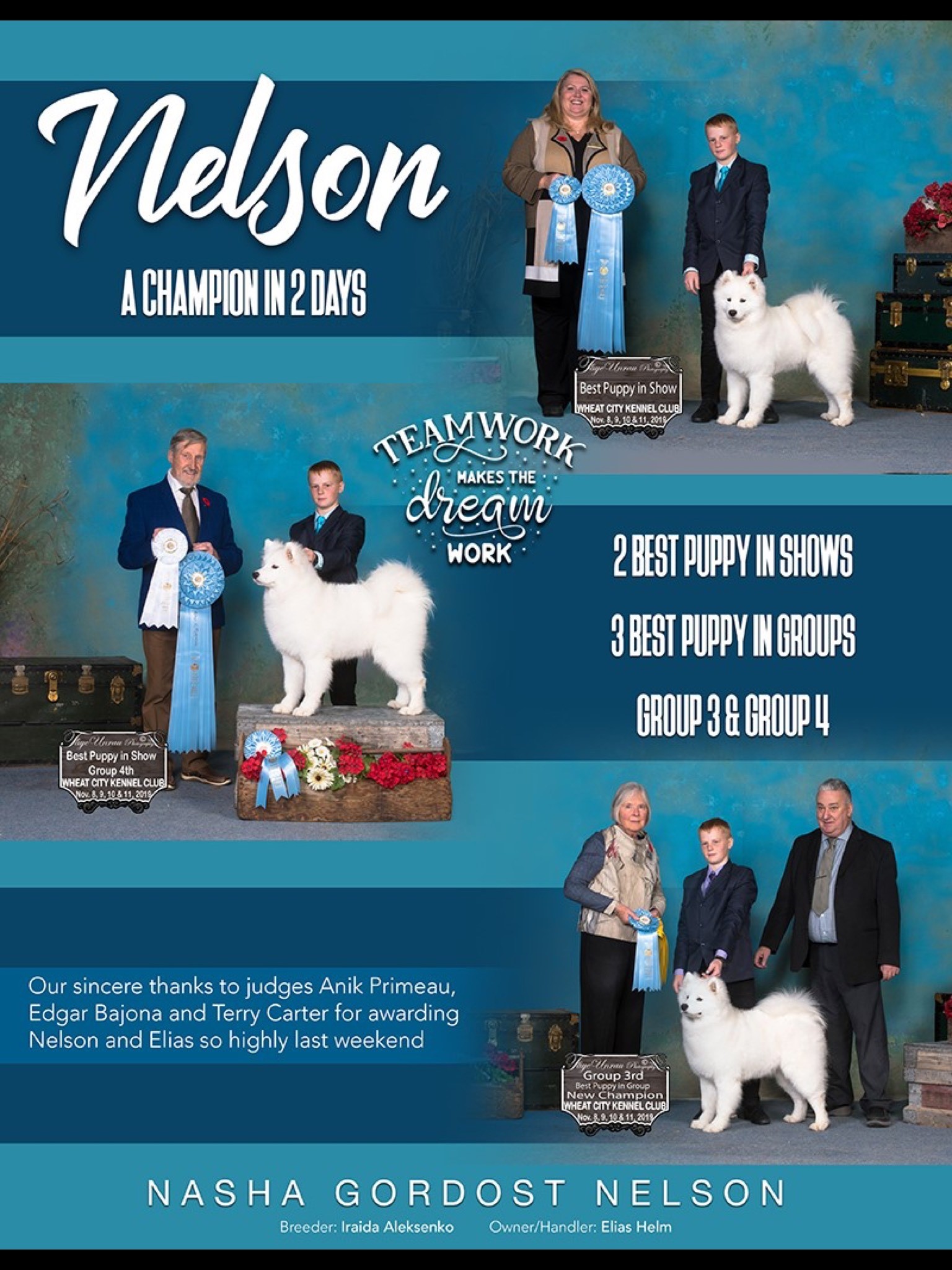 Canadian Kennel Club Club Canin Canadien