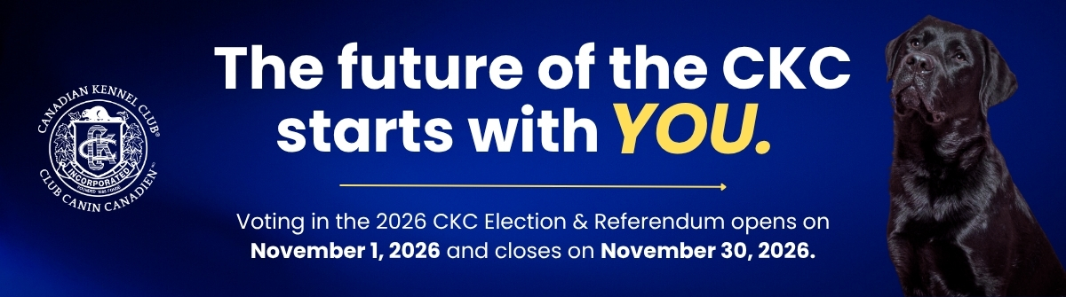 2026-Election-Referendum-Banner-2_EN-1.jpg