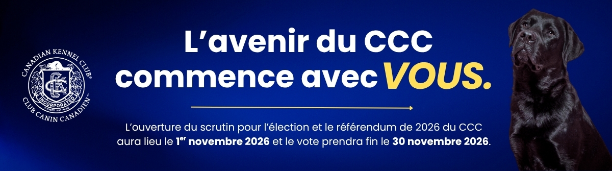 2026-Election-Referendum-Banner-2_FR-1.jpg