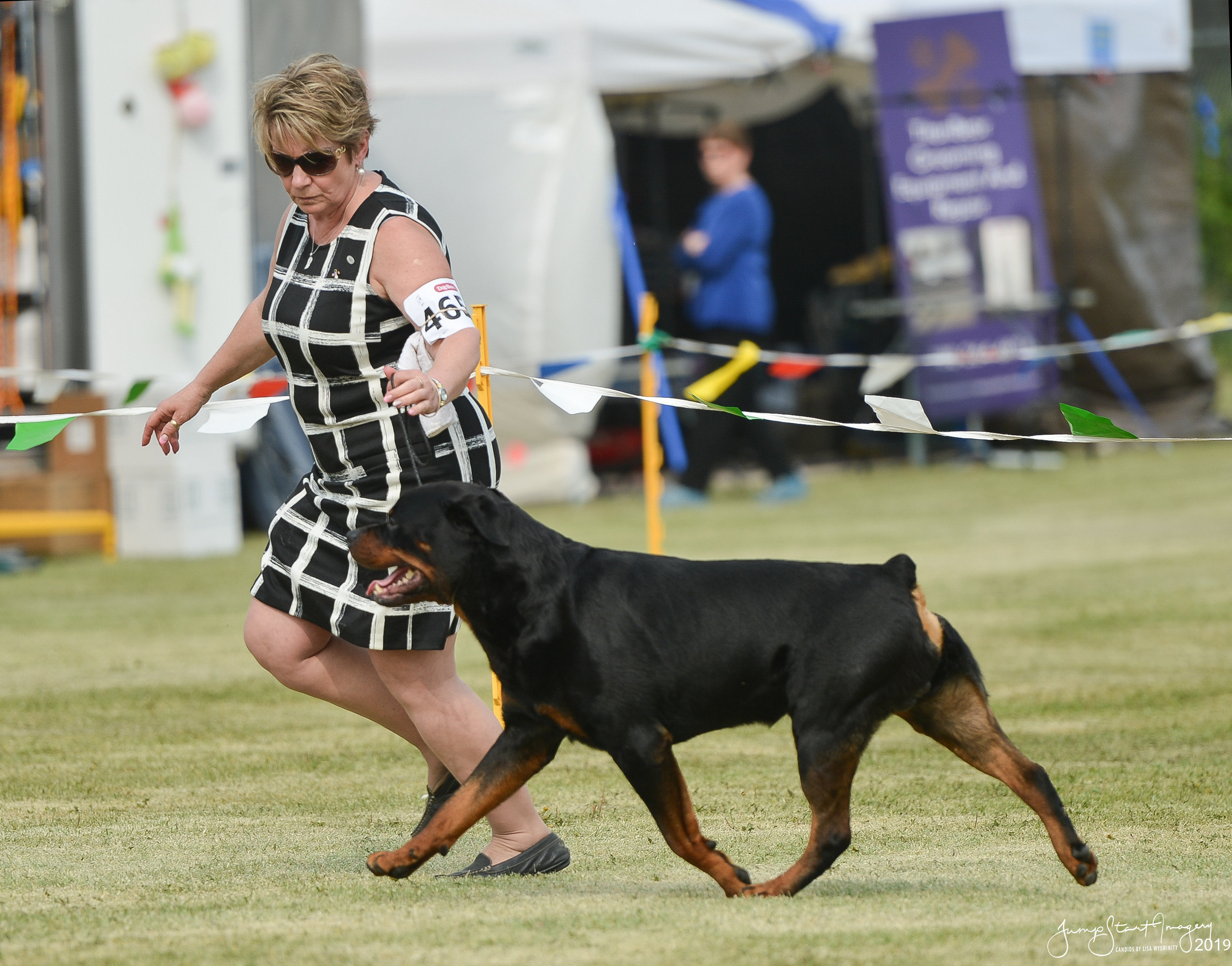 Rottweiler sales shows 2019