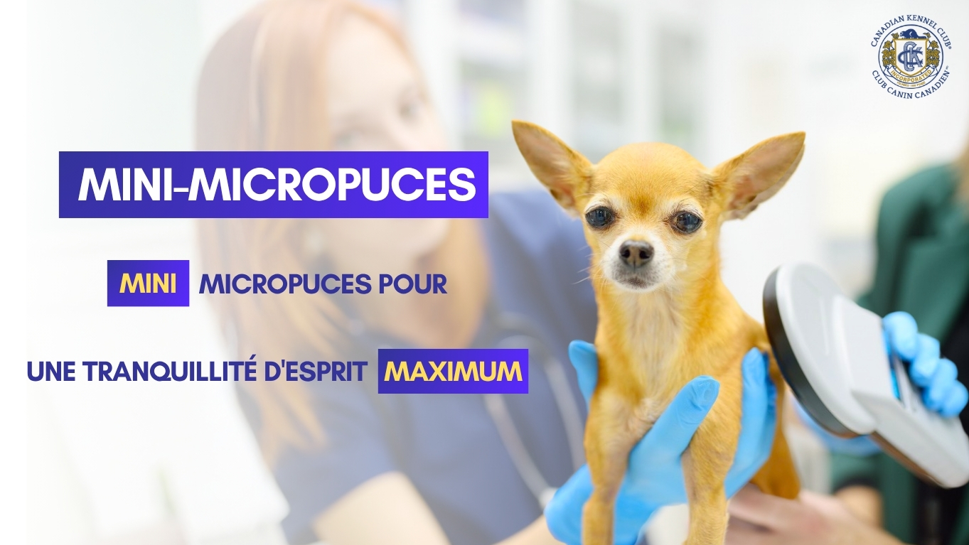 Mini-Microchip-Ad-Jan-8_FR-FINAL.png