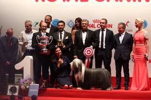 Best-In-Show-World-Dog-Show-2015-1.jpg Best-In-Show-World-Dog-Show-2015-1.jpg