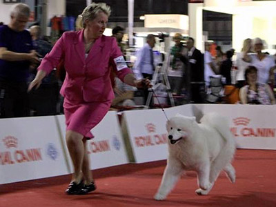 Judi-Elford_Luna-jpg-aspx.jpeg Judi-Elford_Luna-jpg-aspx.jpeg