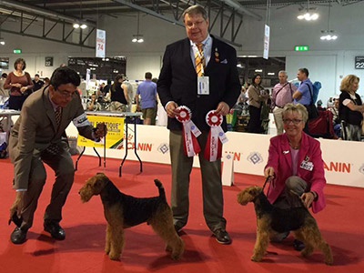 Trooper-Ernesto-WDS2015-MilanItaly-BOB-TerrierSpecailty-2-jpg-aspx.jpeg Trooper-Ernesto-WDS2015-MilanItaly-BOB-TerrierSpecailty-2-jpg-aspx.jpeg