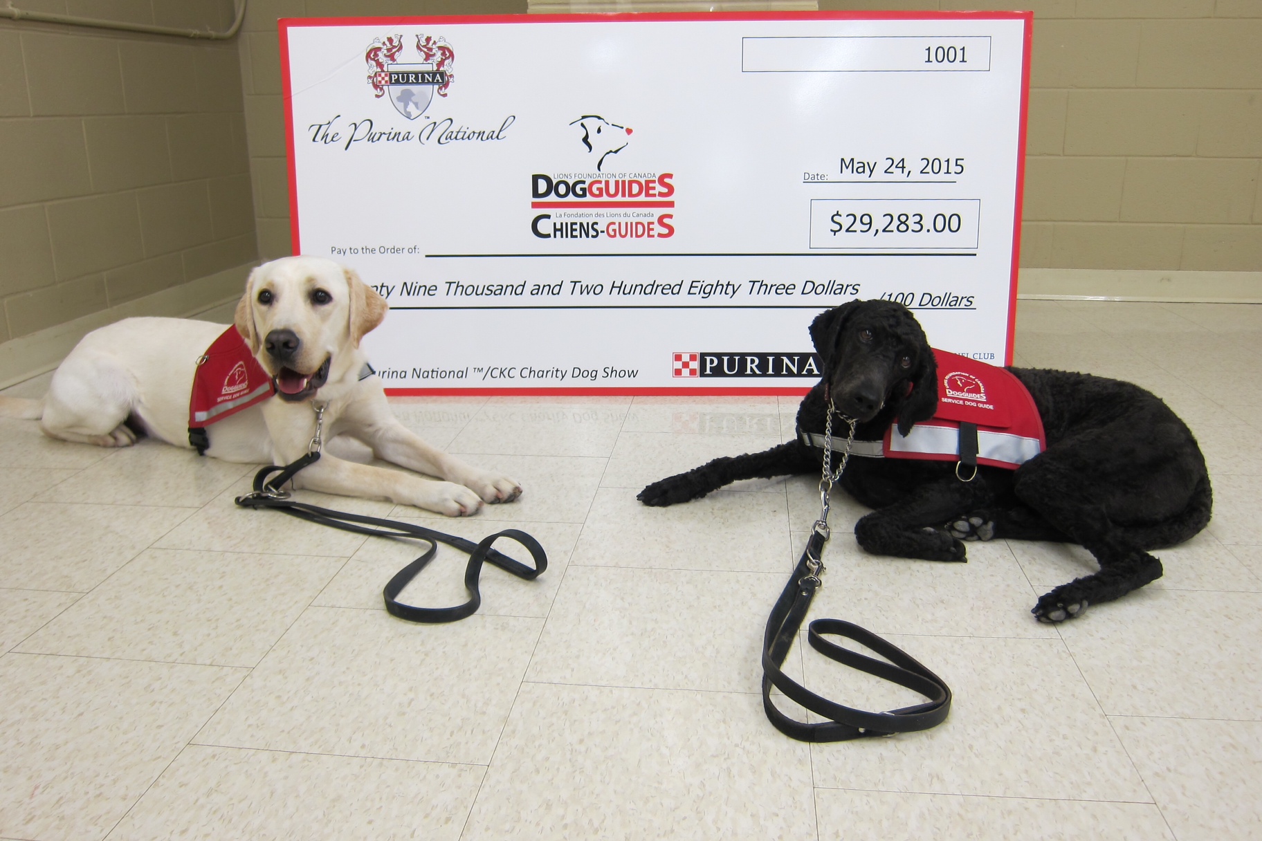 GuideDogs_Lions-Foundation.jpg