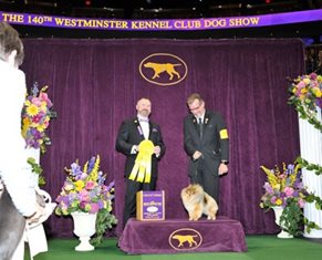WKCWinner_Pomeranian.jpg