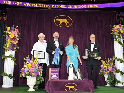 WKCWinner_ShihTzu.jpg