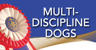 MultidisciplineDogs.jpg MultidisciplineDogs.jpg