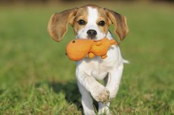 dCVtGHkPTWajVyLYW3Mo_iStock_000021384099XLarge.jpg