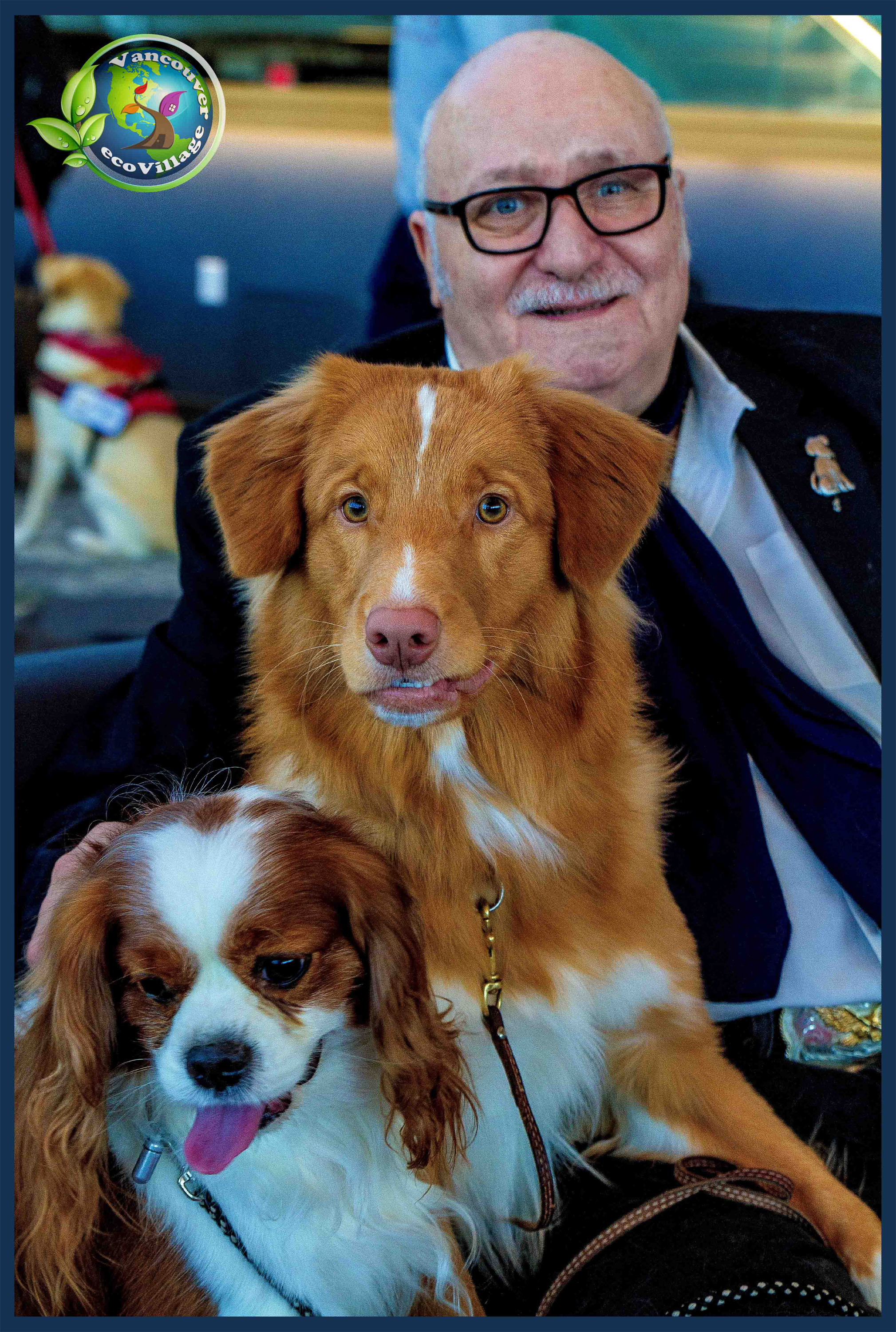 Therapy Dogs an Esteemed Member s Perspective CKC