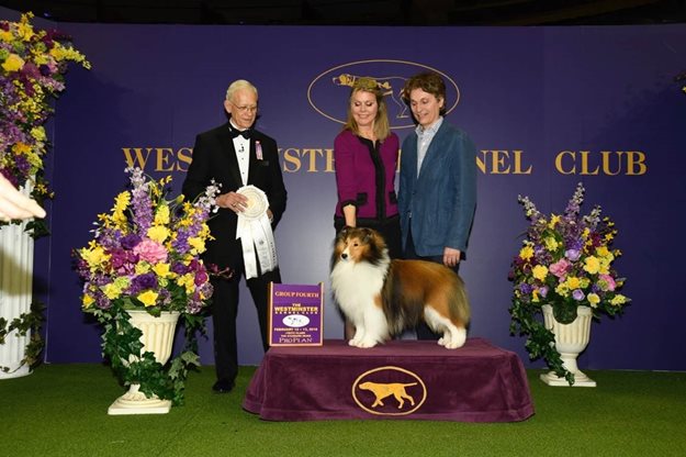 Vinnie_WKC2018.jpg