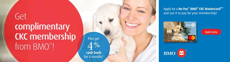 BMO-Nov-1-Landing-Page-Banner-f-EN.jpg BMO-Nov-1-Landing-Page-Banner-f-EN.jpg