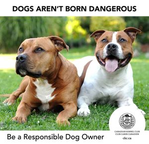 DogsArentBornDangerous.jpg