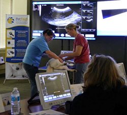 PetTech-Solutions-Ultrasound-Class-for-Dog-Pregnancy-1.jpg PetTech-Solutions-Ultrasound-Class-for-Dog-Pregnancy-1.jpg