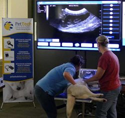 PetTech-Solutions-Ultrasound-Training-for-Dog-Pregnancy.jpg PetTech-Solutions-Ultrasound-Training-for-Dog-Pregnancy.jpg