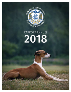 Rapport-Annuel-2018-cover.png Rapport-Annuel-2018-cover.png