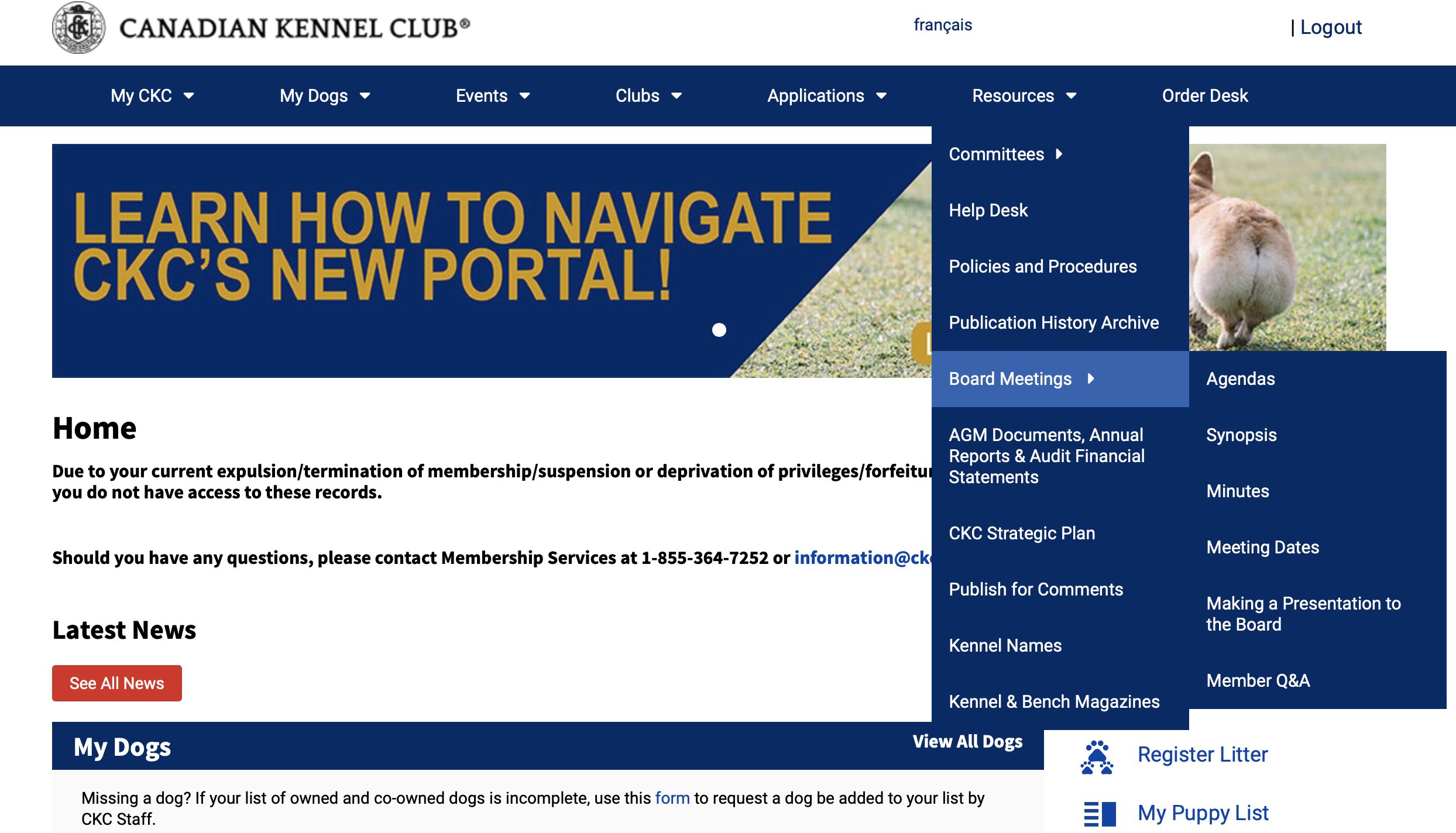 Screen-Shot-2020-07-27-at-10-59-15-AM-2.png
