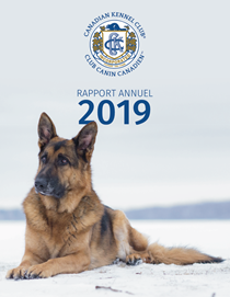 2019-AR-Cover-FR2.png 2019-AR-Cover-FR2.png