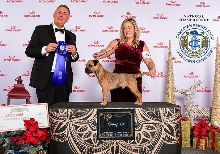 Border.jpg Border.jpg