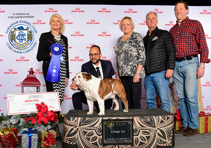 Bulldog.jpg Bulldog.jpg