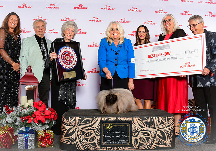 Pek-BIS-1.jpg Pek-BIS-1.jpg