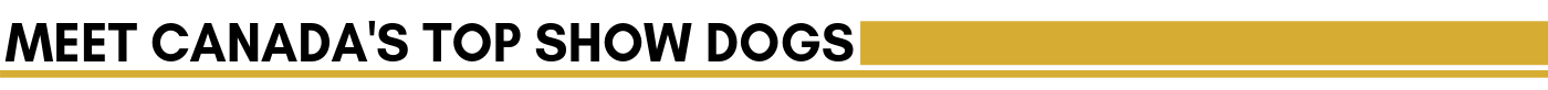 MEET-CANADA-S-TOP-SHOW-DOGS-2-2.png