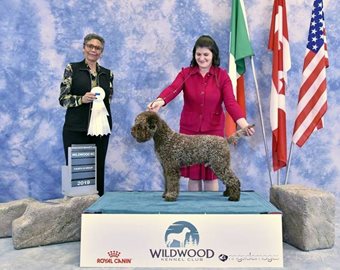 W8Jld22xQOCbpkil1PGL_Sara-and-Hudson-Group-4th-1.jpg