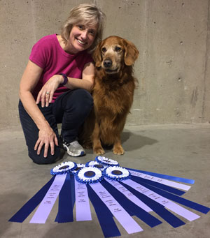 1-Chevy-Golden-Retriever-300x341.jpg