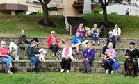t8xwCzSLQxjakzywacYQ_Dog-Walk-August-2020-Susanne-10.jpg